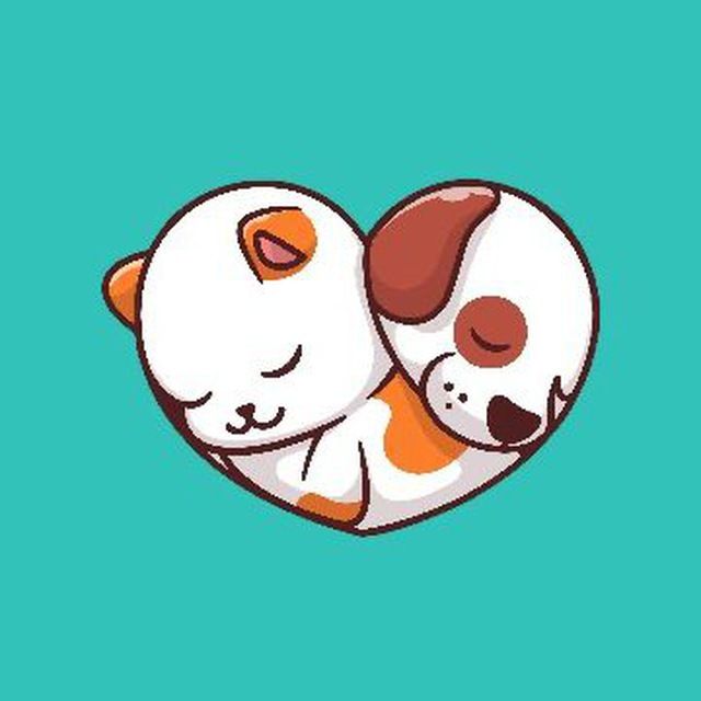 photo_2025_03_25_22_40_21_ee2937d0f9