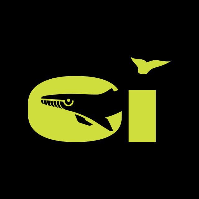 photo_2025_06_18_23_43_42_75c4e017a5