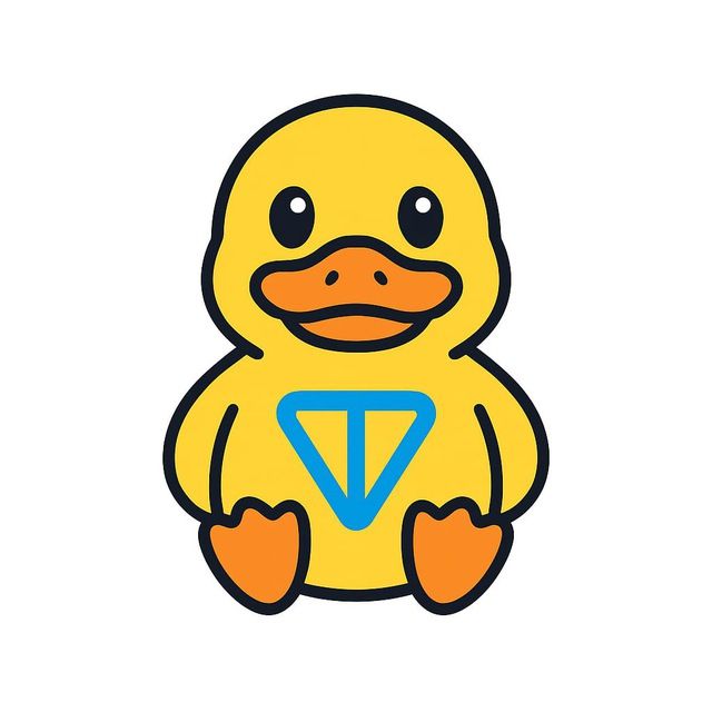 photo_2025_06_24_20_30_03_95be5bd330