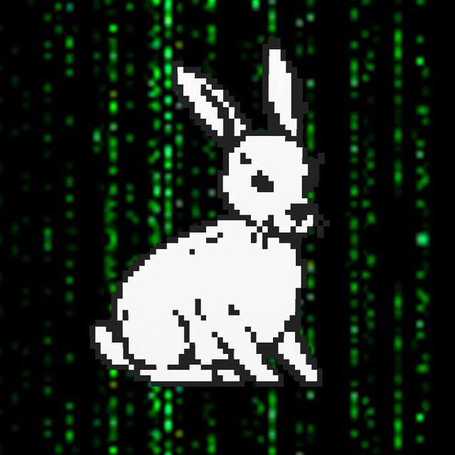 photo_2025_08_26_20_13_56_48618df509