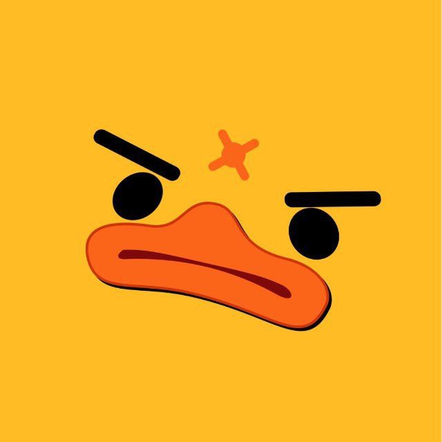 photo_2025_10_09_23_53_24_404a4c2fce