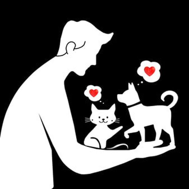 photo_2025_10_13_20_05_45_67ea07e30c